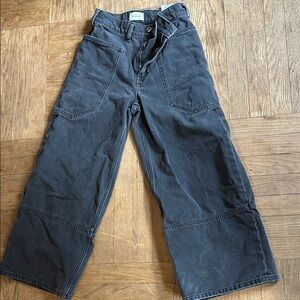 Sold out !!! Everlane Charcoal gardener Pants